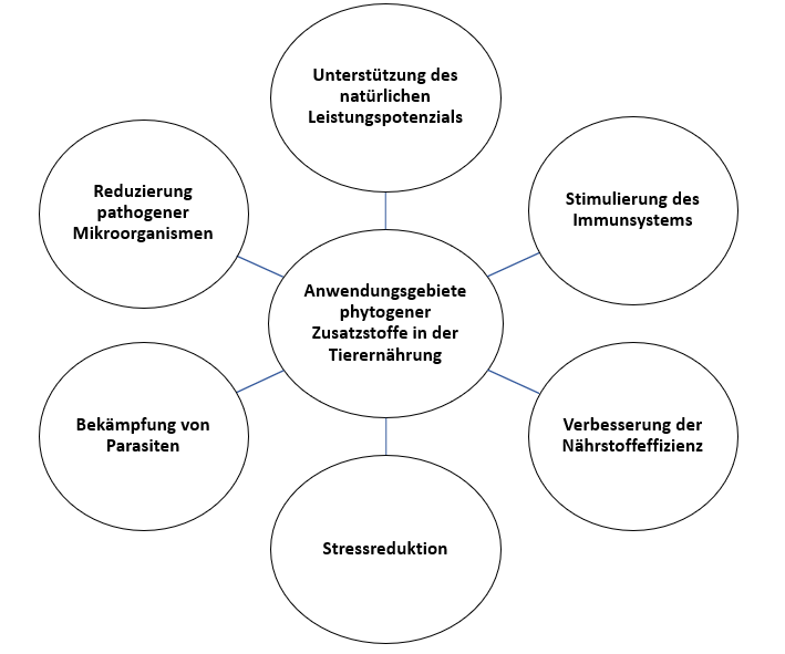 Anwendungsgebiete phytogener Zusatzstoffe