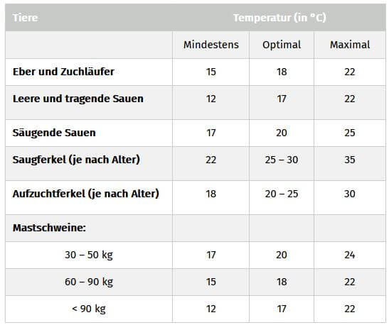 Tabelle zu den Richtwerte der Lufttemperatur im Schweinestall | ActivePro