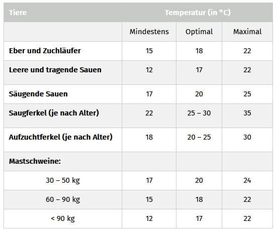Tabelle zu den Richtwerte der Lufttemperatur im Schweinestall | ActivePro